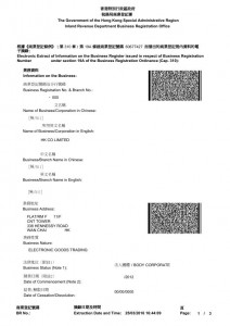 Electronic Extract of Information on the Business Register 1